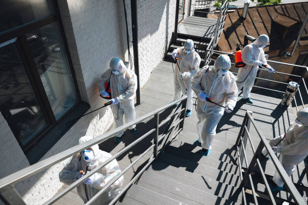 Best Basement Mold Removal  in Folsom, NJ