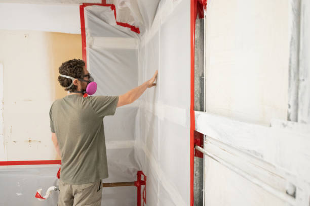 Best Mold Removal for HVAC Installations  in Folsom, NJ