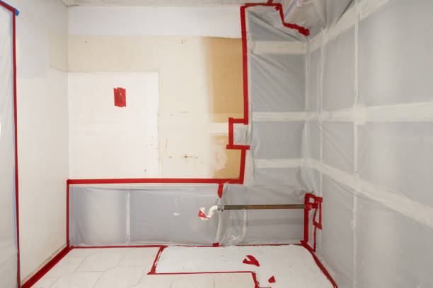 Best Residential Mold Inspection & Testing  in Folsom, NJ