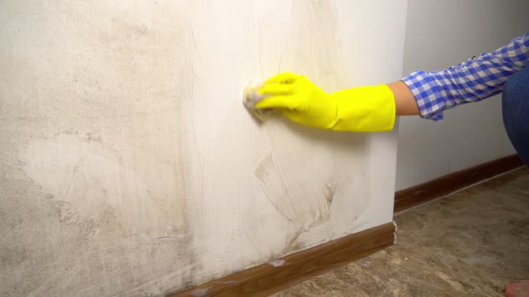 Best Mold Remediation for Healthcare Facilities  in Folsom, NJ