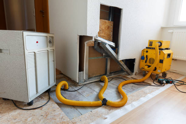 Best HVAC Mold Inspection and Cleaning  in Folsom, NJ