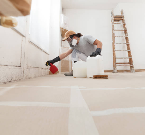 Best Crawl Space Mold Remediation  in Folsom, NJ