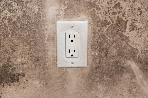Best Mold Odor Removal Services  in Folsom, NJ