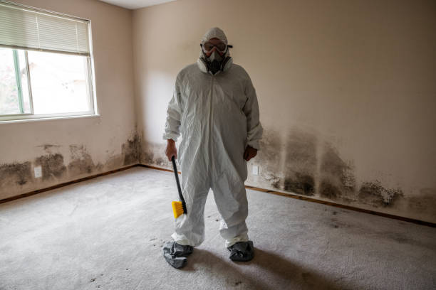 Best Mold Prevention Services  in Folsom, NJ